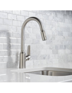 Miscelatore Hansgrohe Cucina Focus M42 monocomando 220 bocca estraibile 2Jet - Kallea 2